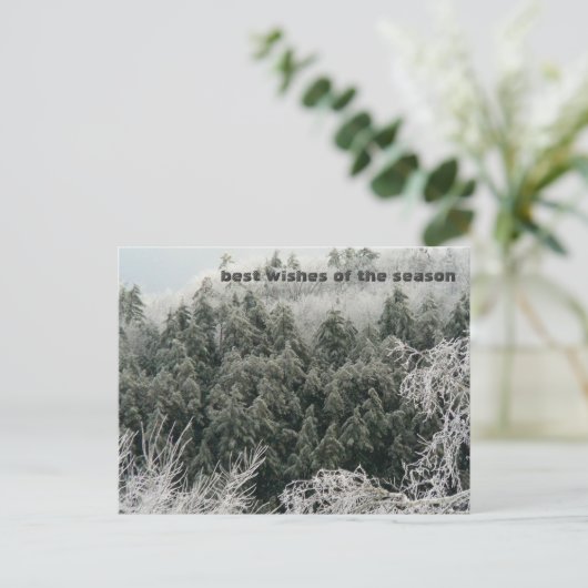 Wintersonne Postkarte (Stehend Vorderseite)