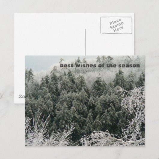 Wintersonne Postkarte (Vorne/Hinten)