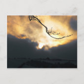Wintersonne Postkarte (Vorderseite)