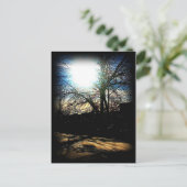 Wintersonne Postkarte (Stehend Vorderseite)