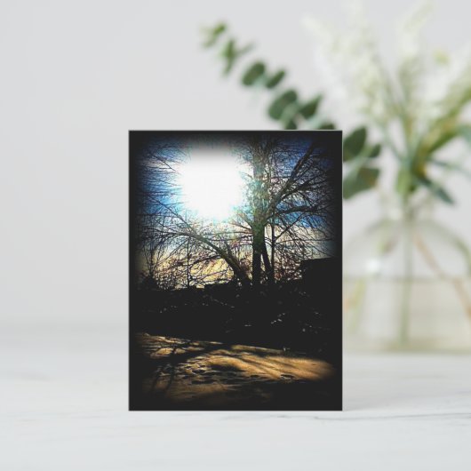 Wintersonne Postkarte (Stehend Vorderseite)