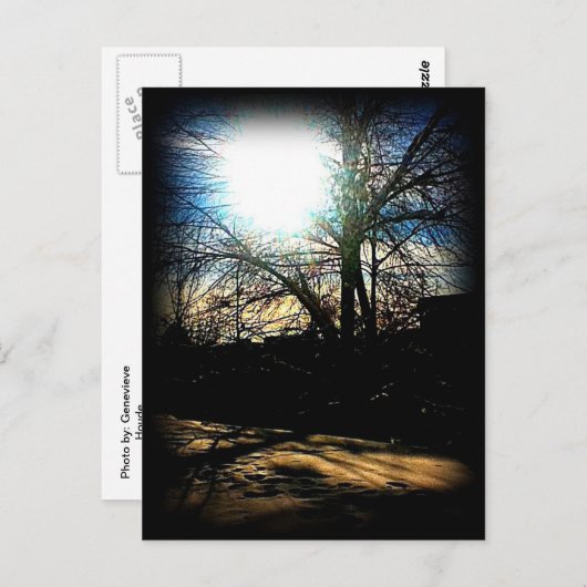 Wintersonne Postkarte (Vorne/Hinten)