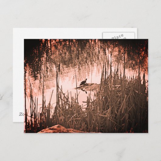 Wintersonne Postkarte (Vorne/Hinten)