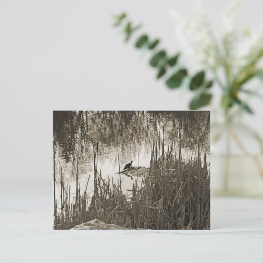 Wintersonne Postkarte (Stehend Vorderseite)