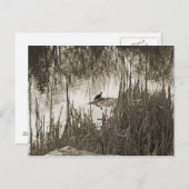 Wintersonne Postkarte (Vorne/Hinten)