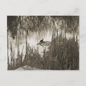 Wintersonne Postkarte (Vorderseite)