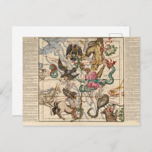 Wintersonne Postkarte (Vorne/Hinten)