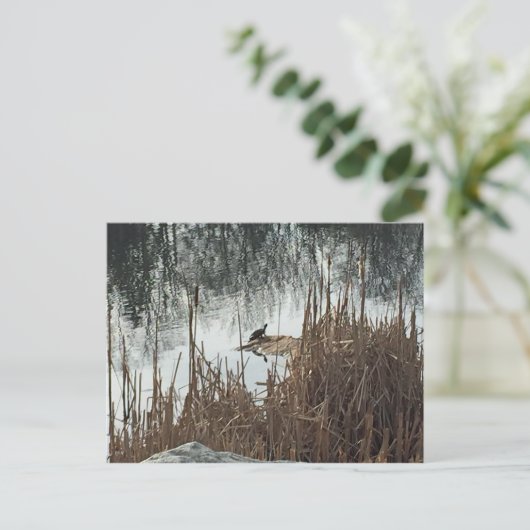 Wintersonne Postkarte (Stehend Vorderseite)