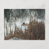 Wintersonne Postkarte (Vorderseite)