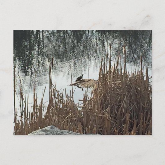 Wintersonne Postkarte (Vorderseite)