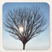 Wintersonne Rechteckiger Pappuntersetzer (Vorderseite)