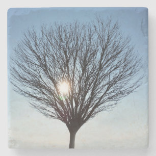 Wintersonne Steinuntersetzer