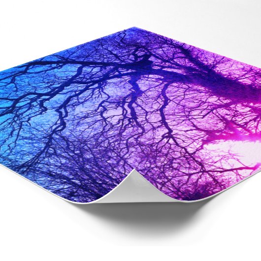 Wintersonne und Lila Bäume Poster (Ecke)