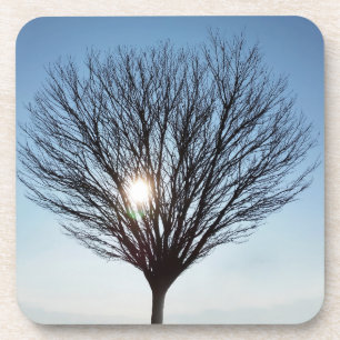 Wintersonne Untersetzer