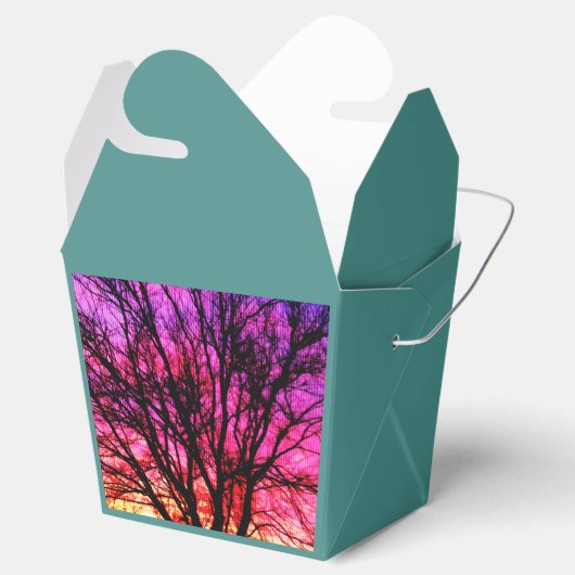 Wintersonnenbaum - Aquamarin Geschenkschachtel (Geöffnet)