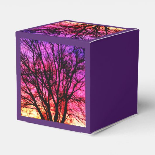 Wintersonnenbaum Geschenkschachtel (Rückseite)