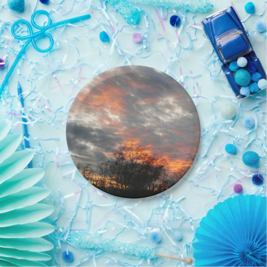 Wintersonnenlandschaft Fotografie Pappteller (Party)