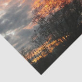 Wintersonnenlandschaft Fotografie Seidenpapier (Detail)