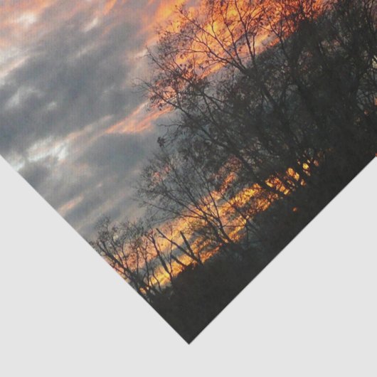 Wintersonnenlandschaft Fotografie Seidenpapier (Detail)