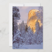 Wintersonnenlicht auf El Capitan in Yosemite (Vorderseite)