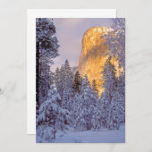 Wintersonnenlicht auf El Capitan in Yosemite (Vorne/Hinten)