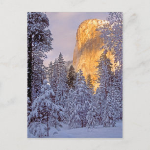 Wintersonnenlicht auf El Capitan in Yosemite Postkarte