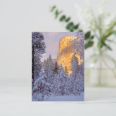 Wintersonnenlicht auf El Capitan in Yosemite Postkarte (Stehend Vorderseite)