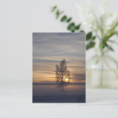 Wintersonnenuntergang bei Ft. Wainwright Postkarte (Stehend Vorderseite)