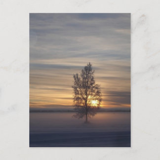 Wintersonnenuntergang bei Ft. Wainwright Postkarte