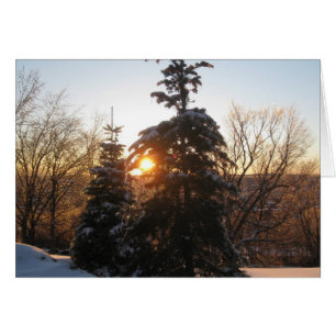 Wintersonnenuntergang mit Evergreens