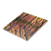 Wintersonnenuntergangsbäume mit Schatten Fliesen (Seite)