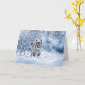 Wintersonnenwende mit Rotluchs und Schnee Karte (Gelbe Blume)