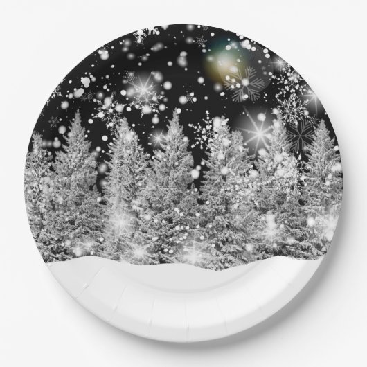 Wintersonnenwende Schneefall Pappteller (Vorderseite)