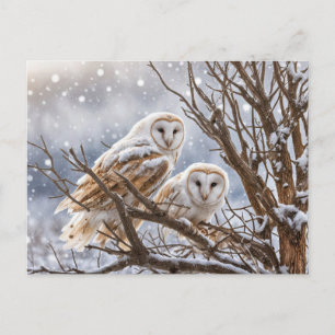 Wintersonnenwende Yule Eulen Schnee Feiertagspostkarte