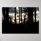 Wintersonntag im Wald Poster (Vorne)