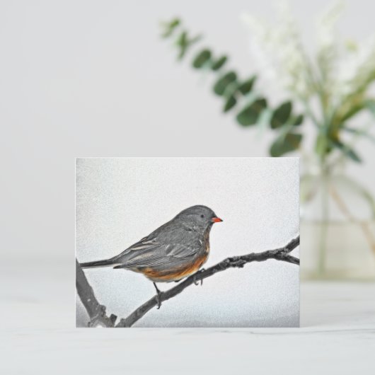 Wintersparrow Postkarte (Stehend Vorderseite)
