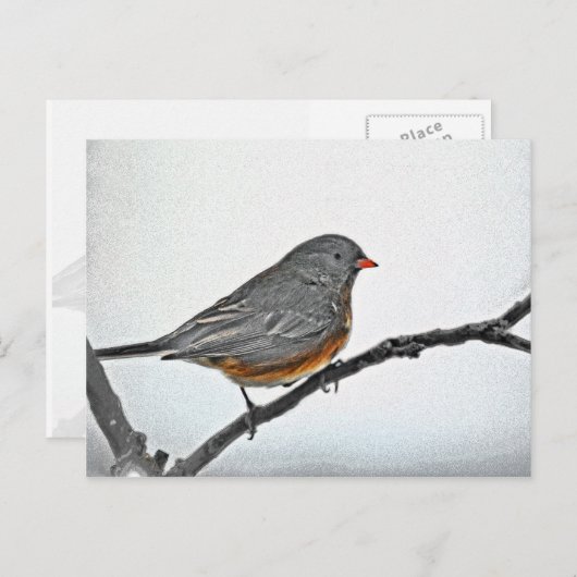 Wintersparrow Postkarte (Vorne/Hinten)