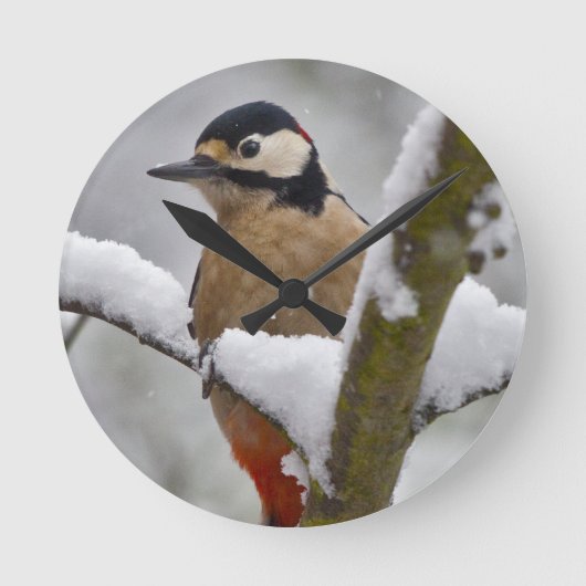 Winterspecht Runde Wanduhr (Vorderseite)