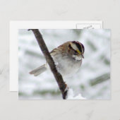 Winterspinenpostkarte Postkarte (Vorne/Hinten)