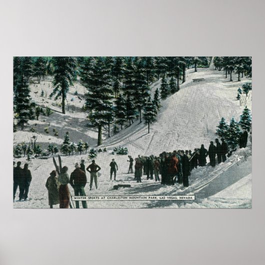 Wintersportort im Charleston Mountain Poster (Vorne)