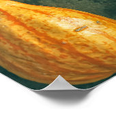 WinterSquash Poster (Ecke)