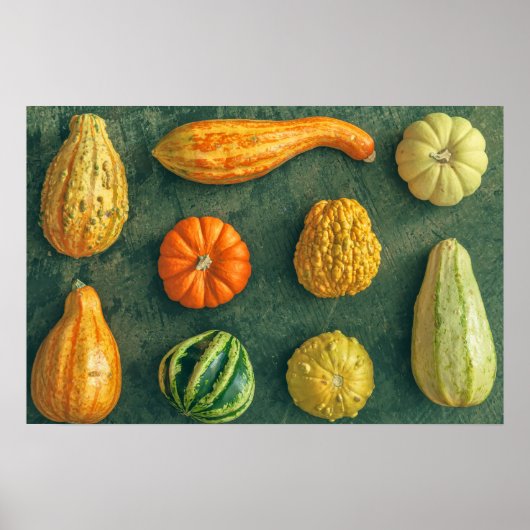 WinterSquash Poster (Vorne)