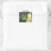 WinterSquash Quadratischer Aufkleber (Tasche)