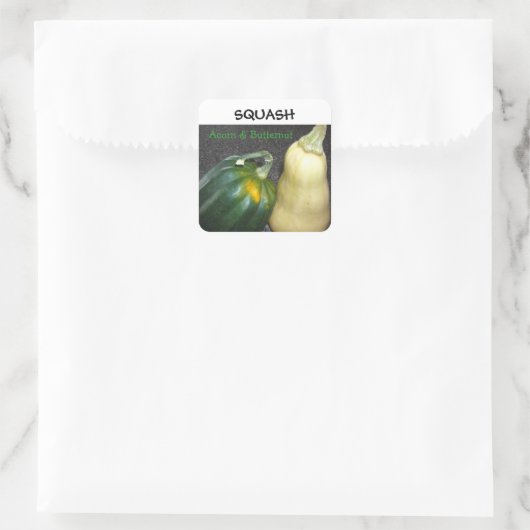 WinterSquash Quadratischer Aufkleber (Tasche)