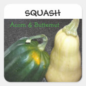 WinterSquash Quadratischer Aufkleber (Vorderseite)
