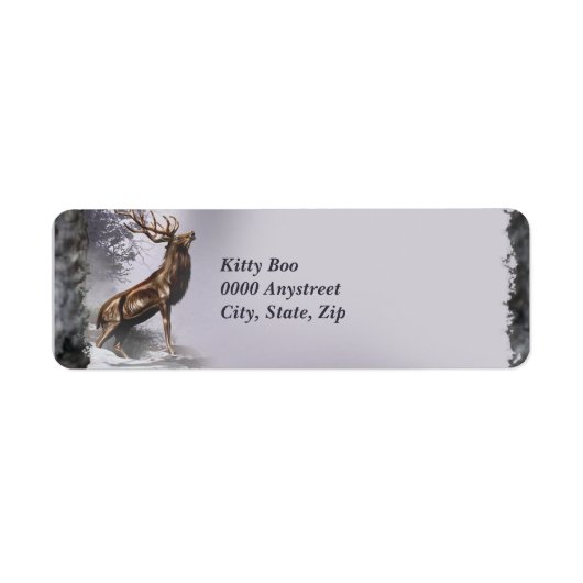 Winterstag (Vorne)
