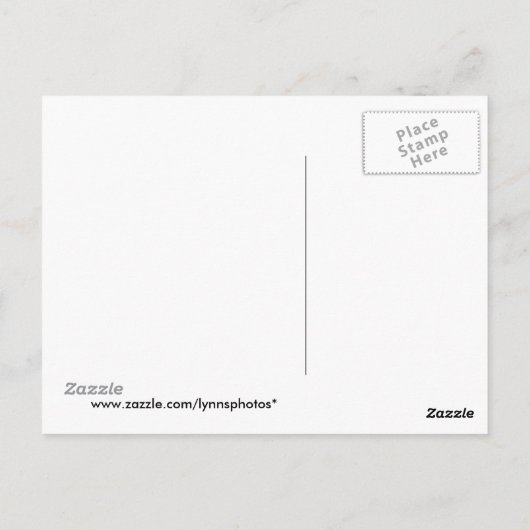 Winterstall Postkarte (Rückseite)