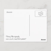 Wintersteine Postkarte (Rückseite)