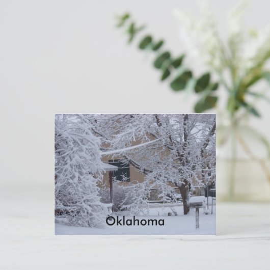 Winterstorm 2010(Oklahoma) Postkarte (Stehend Vorderseite)