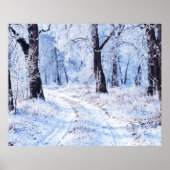 Winterstraße Poster (Vorne)